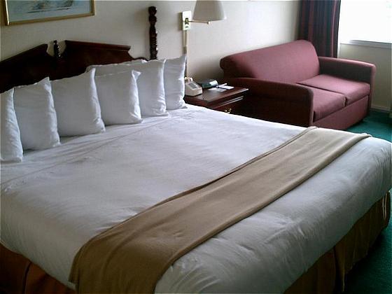 Econo Lodge Inn&Suites Triadelphia Habitación foto